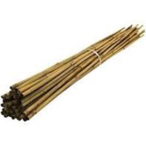 Bamboo Canes 4ft & 3ft | Pre Packed Bamboo Canes | Top Yield Hydroponics 