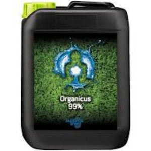 Buddhas Tree - Organicus 99% - Top Yield Hydroponics