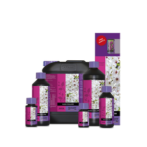 Atami - B'Cuzz Bloom Stimulator - Top Yield Hydroponics