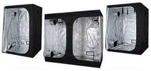 Gorilla Box Grow Tent | Buy Indoor Grow Tents For Hydroponics | Top Yield Hydroponics