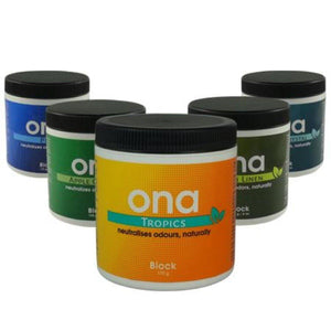 Ona - Block 170g | ONA Block Pro Odour Neutraliser | Top Yield Hydroponics