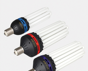 ParLux - CFL Lamps | Parlux DE 1000w Digital Grow Light | Top Yield Hydroponics