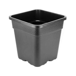 Wilma Premium Square Pot | 18L, 11L, 6L & 25L Wilma Premium Square Pot For Sale | Top Yield Hydroponics
