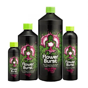 Buddhas Tree - Flower Burst | Booster & Nutrients For Sale | Top Yield Hydroponics