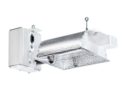 Complete 600w Lighting Kits