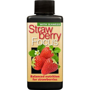 Growth Technology - Strawberry Focus | Buy Growth Technology Strawberry Focus fertilizer for Strawberries Online | Top Yield Hydroponics