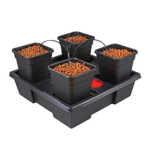 Wilma Large System | Wilma Hydroponic Systems for sale | Top Yield Hydroponics